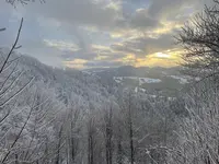 IMG_8165.webp IMG_8165.webp