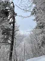 IMG_8166.webp IMG_8166.webp