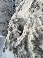 IMG_8169.webp IMG_8169.webp