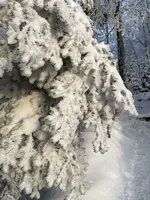 IMG_8172.webp IMG_8172.webp