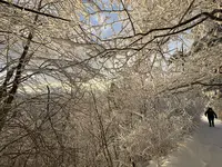 IMG_8175.webp IMG_8175.webp