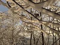 IMG_8176.webp IMG_8176.webp