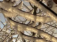 IMG_8177.webp IMG_8177.webp