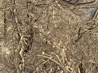 IMG_8178.webp IMG_8178.webp