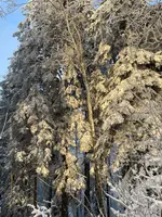 IMG_8180.webp IMG_8180.webp