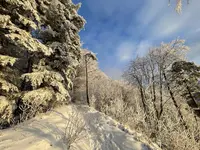 IMG_8182.webp IMG_8182.webp