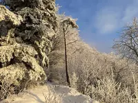 IMG_8183.webp IMG_8183.webp