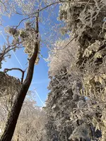 IMG_8186.webp IMG_8186.webp