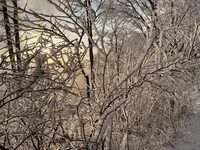 IMG_8187.webp IMG_8187.webp