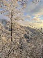 IMG_8192.webp IMG_8192.webp