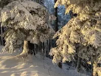 IMG_8194.webp IMG_8194.webp