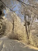 IMG_8198.webp IMG_8198.webp