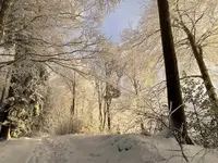 IMG_8199.webp IMG_8199.webp