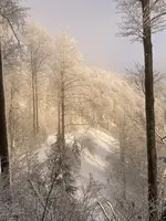 IMG_8202.webp IMG_8202.webp