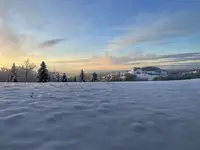 IMG_8206.webp IMG_8206.webp