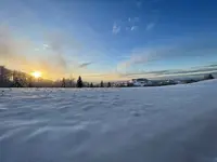 IMG_8207.webp IMG_8207.webp