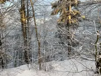 IMG_8210.webp IMG_8210.webp