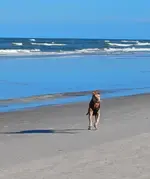 20240822_200811.webp