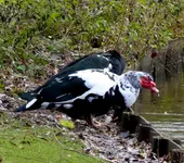 002.webp