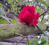 20241018_162114.webp