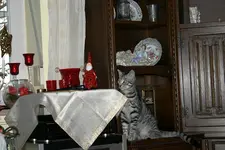 Dez.0109.webp