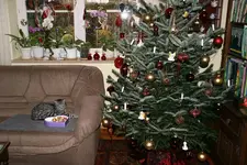 Dez.0511.webp