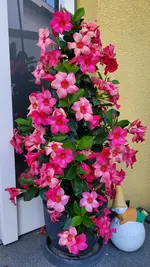 20240826_194400.webp