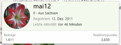 Mai 12.12..png