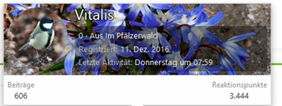 Vitali 11.12..png