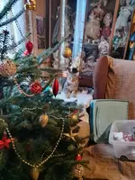 IMG_20241220_112340_HDR.webp