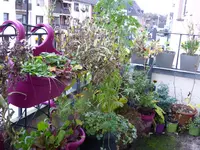 059.webp