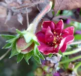 040.webp