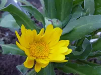 030.webp
