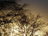 011.webp