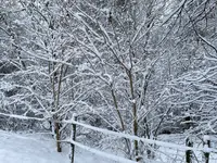 IMG_8392.webp