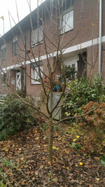 IMG-20241215-WA0002.webp