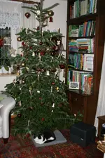 Dez.6818.webp