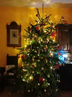 IMG_20201224_181352.webp