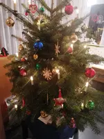 IMG_20241225_185643.webp