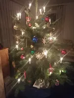 IMG_20241225_181154.webp