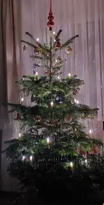 20241216_223322.jpg