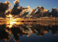 Lhhaufg1.webp