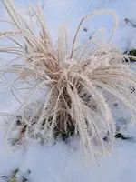 IMG_20241230_090319.webp IMG_20241230_090319.webp