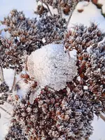 IMG_20241230_090408.webp IMG_20241230_090408.webp