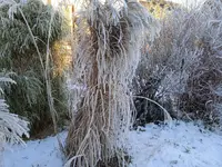 IMG_20241230_090559_1.webp IMG_20241230_090559_1.webp