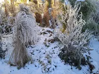 IMG_20241230_090622_1.webp IMG_20241230_090622_1.webp