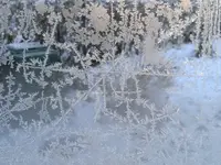 IMG_20241230_085930.webp IMG_20241230_085930.webp