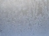 IMG_20241230_085959_1.webp IMG_20241230_085959_1.webp