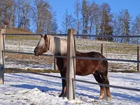 IMG_20241230_143240.webp