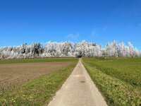IMG_1841.jpeg